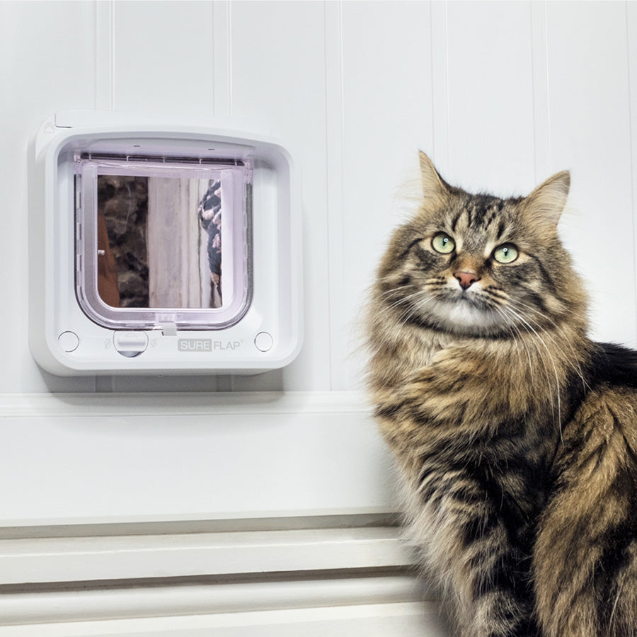 SureFlap Connect Microchip Cat Flap with Hub – White Small/Medium